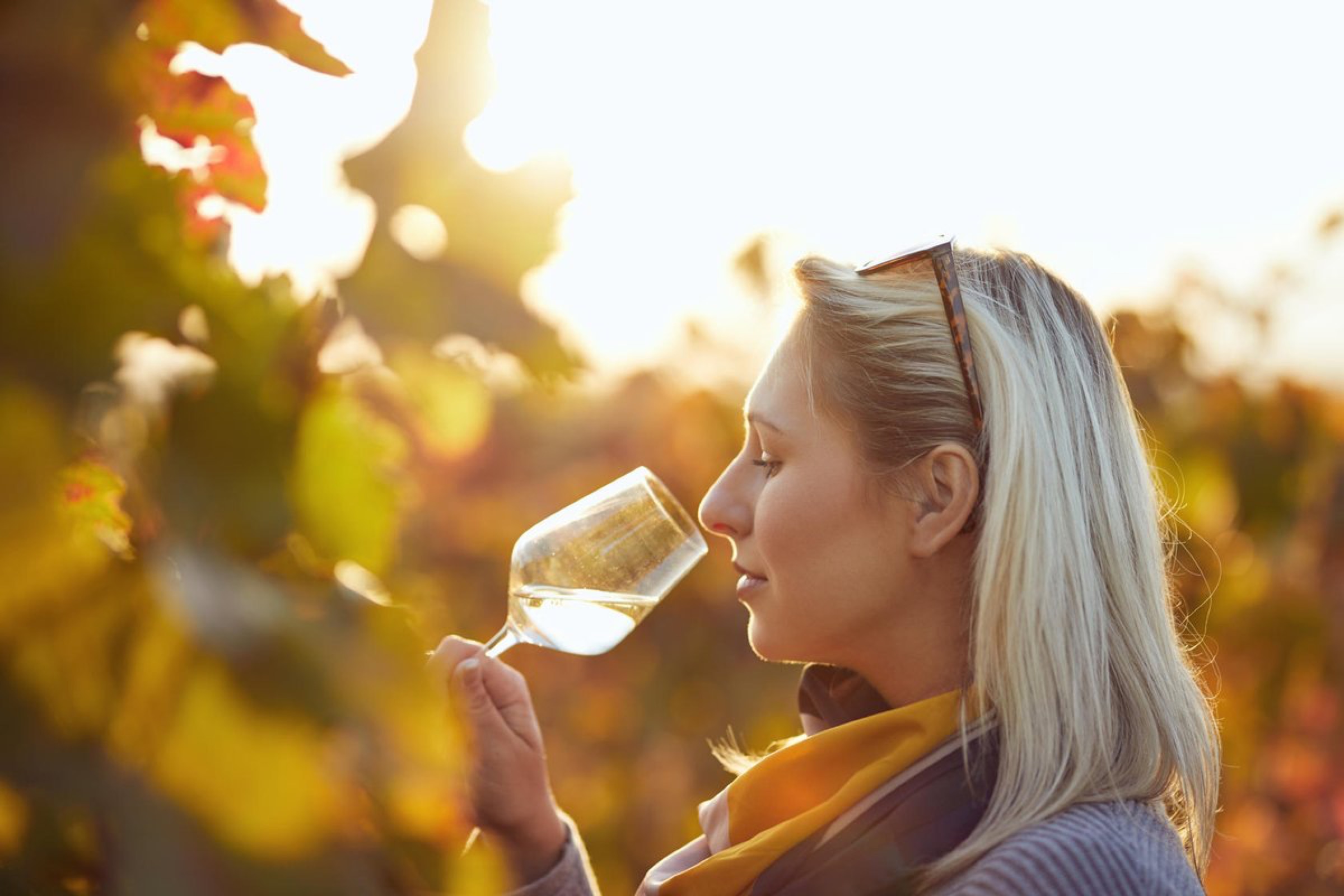 Wine tasting in the sun